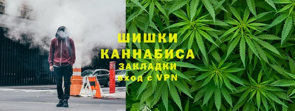 индика Богородицк